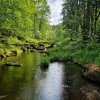 5.třída výlet Hradiště