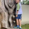 Výlet do ZOO 1. třídy